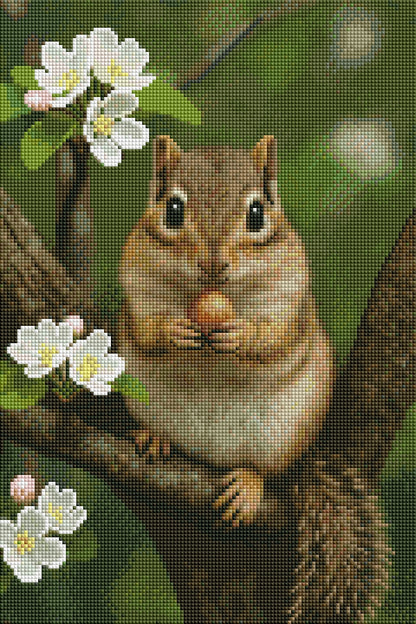 Chipmunk Treasure