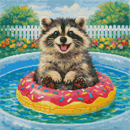 Raccoon’s Pool Day