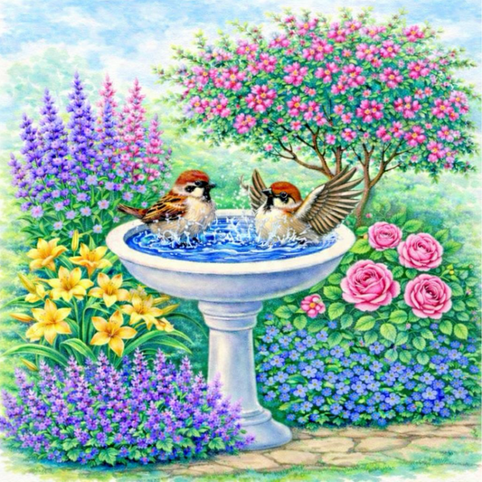 Bird Bath