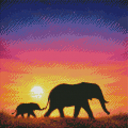 Elephant Sunset