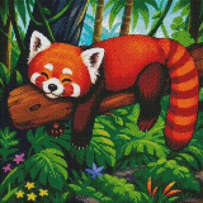 Red Panda Nap Time
